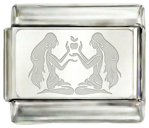 Nog toe te voegen - Gemini, in zilver