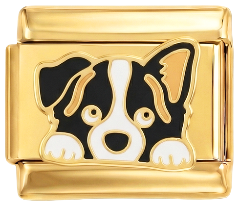 NOG TOE TE VOEGEN - Hond met opstaand oor van goud