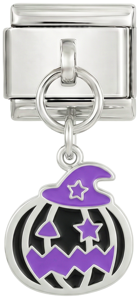 NOG TOE TE VOEGEN - Zwarte pompoen