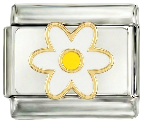 Nog toe te voegen - Witte madelief en haar gele hart