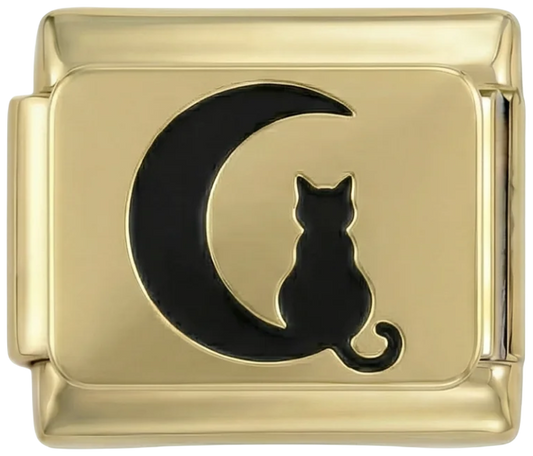 Cat and Moon - cat-and-moon.png