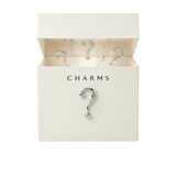 Mystery Box (40 Charms)