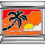 Zonsondergang met palmboom in zilver