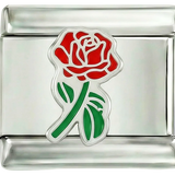 Hele rode roos met groene steel