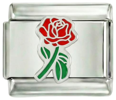 Hele rode roos met groene steel